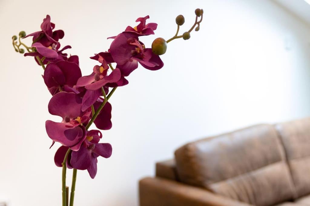 La Cambuse Topdestination-Bourg - Centre Ville - Classe 3 Etoiles 외부 사진